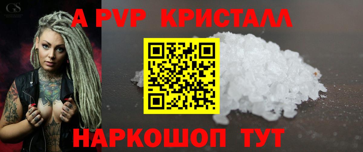 Альфа ПВП СК КРИС Черкесск