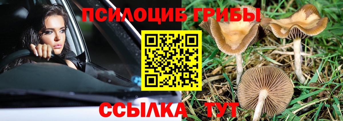 Черкесск  Псилоцибиновые грибы мухоморы  Вход с VPN 